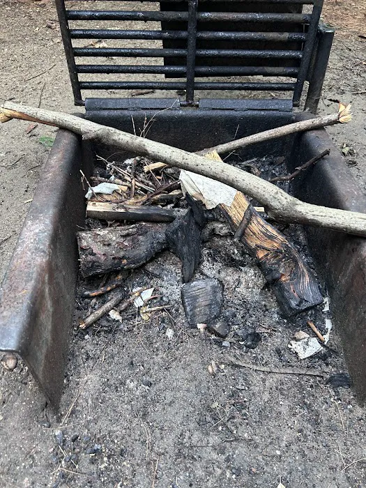 Passaconaway Campground Picture 6
