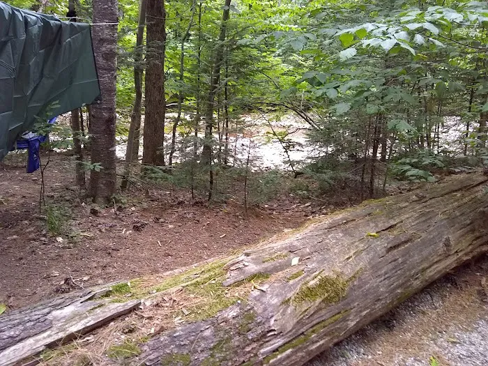 Passaconaway Campground Picture 2