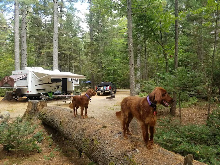 Jigger Johnson Campground Picture 7