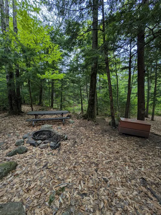 Fourth Iron Campground Picture 8