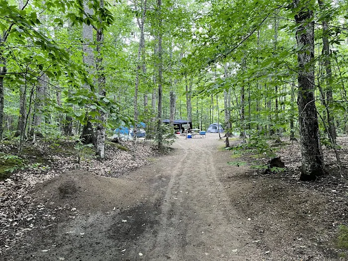 Crawford Notch Campground Picture 2
