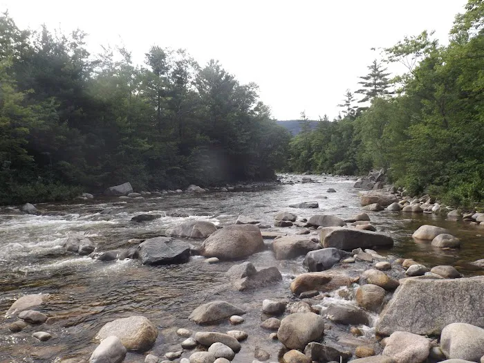 Blackberry Crossing Campground Picture 3