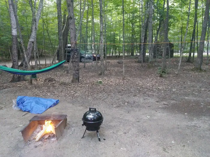 Blackberry Crossing Campground Picture 4