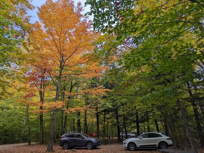 Dry River Campground Picture 5