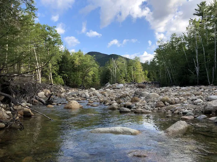 Dry River Campground Picture 1