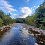 Covered Bridge Campground