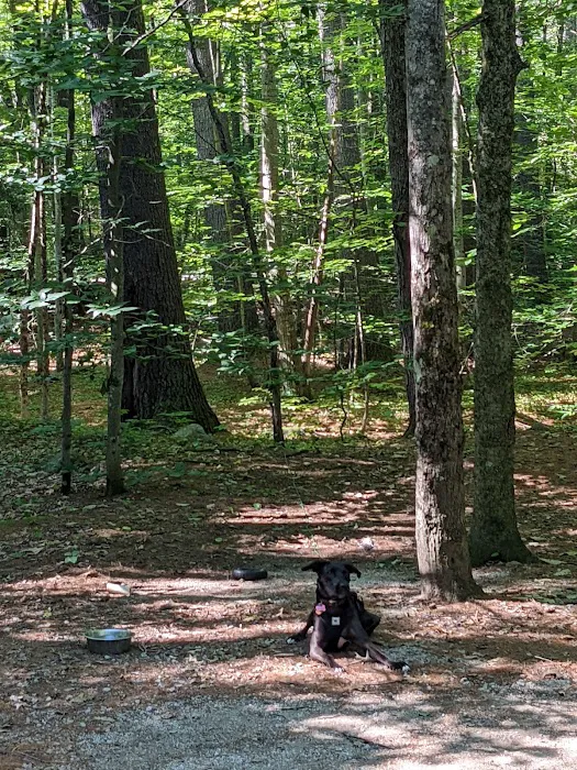 Covered Bridge Campground Picture 10
