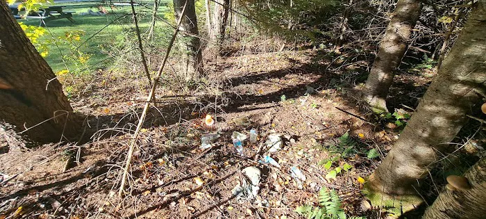 Mount Deception Camping Area Picture 9