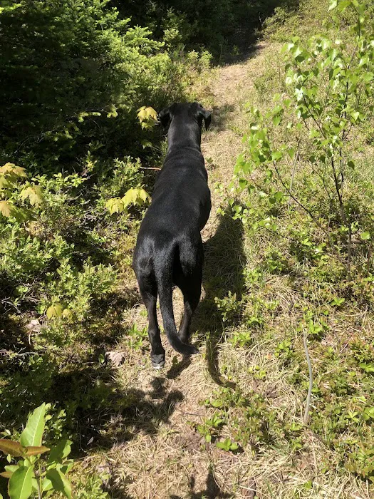 Mount Deception Camping Area Picture 10