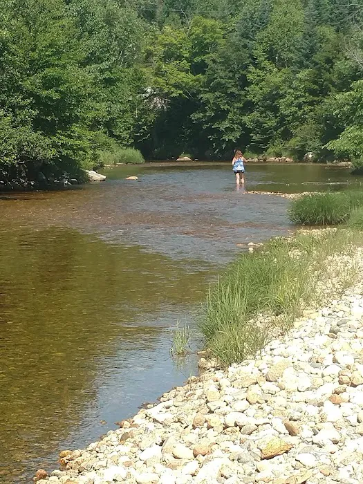 Mount Deception Camping Area Picture 4