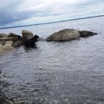 Champlain Valley Campground