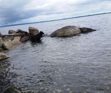 Champlain Valley Campground