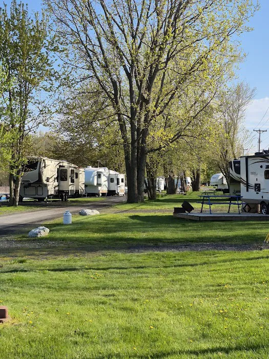 Carry Bay Campground Picture 9