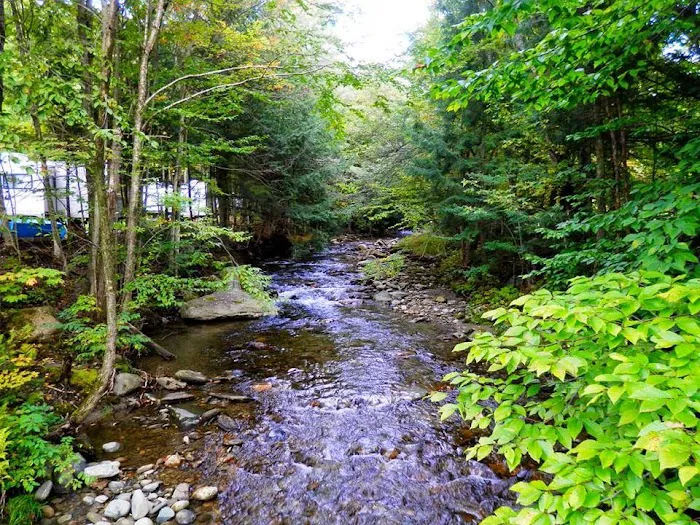 Millbrook Campground Picture 3