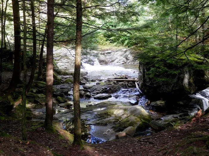 Millbrook Campground Picture 10