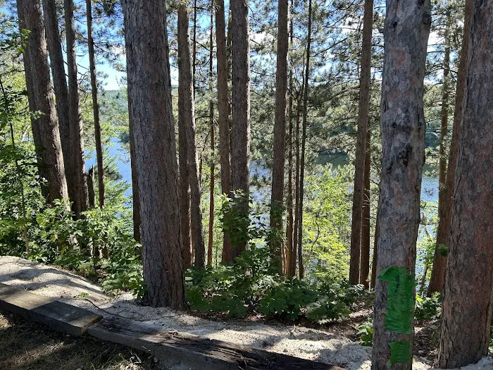 Lakeside Camping Picture 2