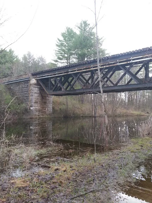 Ausable Pines Campground & RV Picture 10