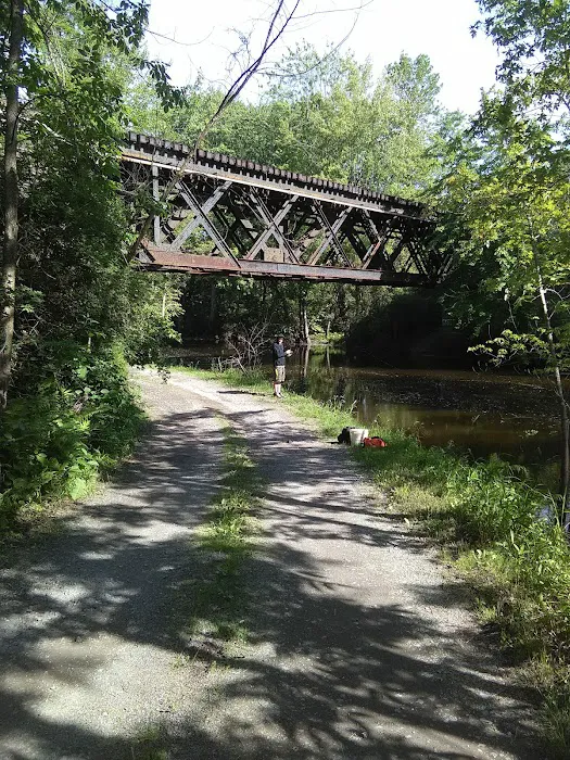 Ausable Pines Campground & RV Picture 5