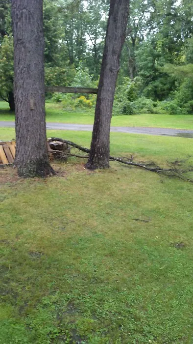 Ausable Pines Campground & RV Picture 3