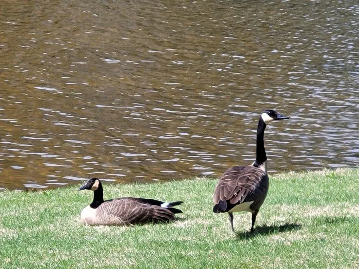IROQUOIS Campground & R.V. Park Picture 1
