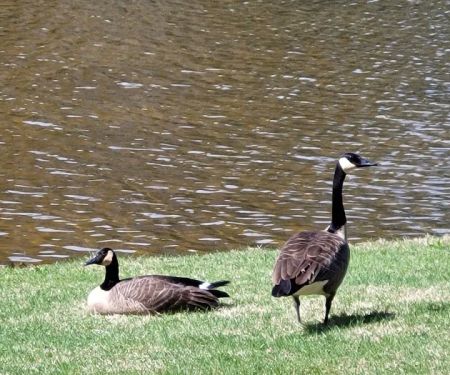 IROQUOIS Campground & R.V. Park