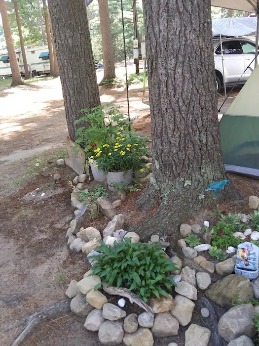 Twin Ponds Resort Campsite Picture 5