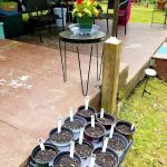 Little City Campground