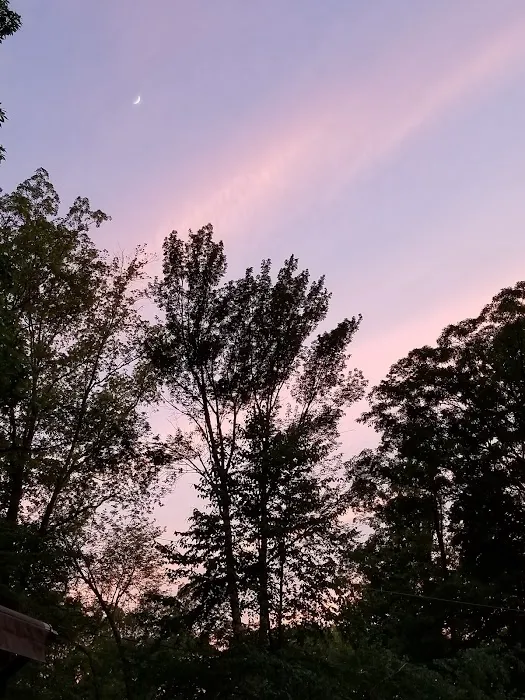 Little City Campground Picture 5