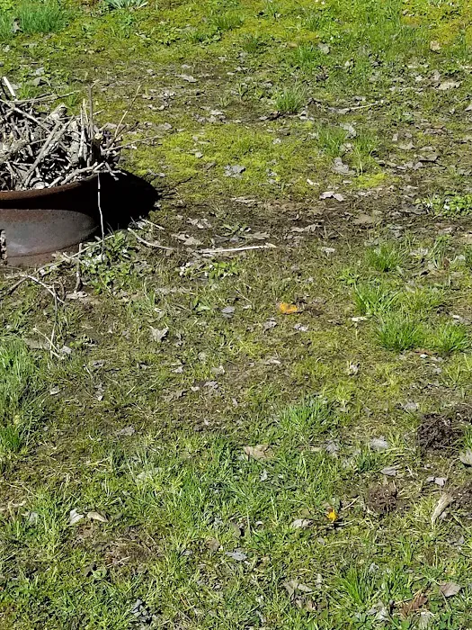 Little City Campground Picture 4