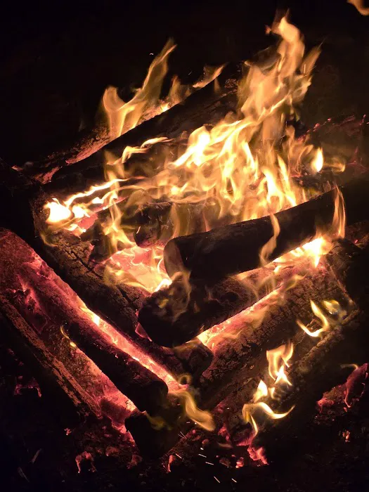Campsite Backwoods Picture 4