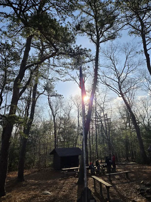 Campsite Backwoods Picture 3