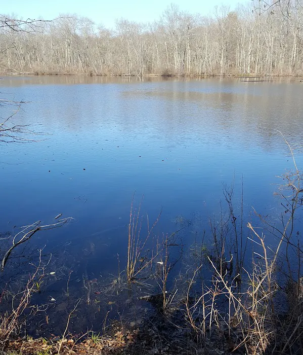 Oak Hill - MA Picture 8