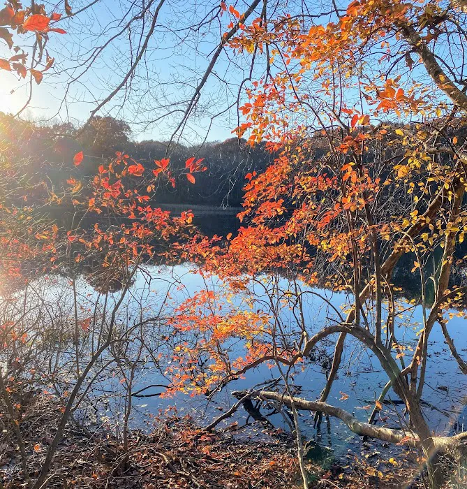 Oak Hill - MA Picture 10