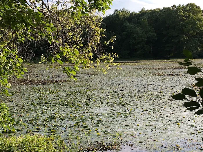 Oak Hill - MA Picture 6