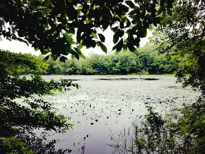 Oak Hill - MA Picture 7