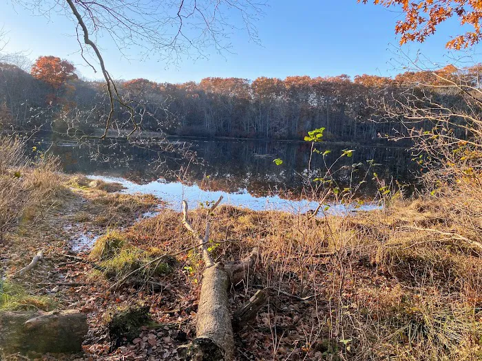 Oak Hill - MA Picture 2