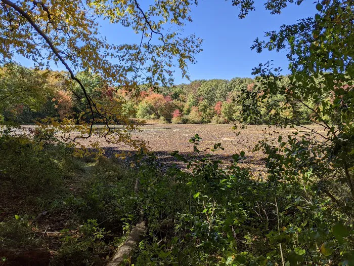 Oak Hill - MA Picture 4