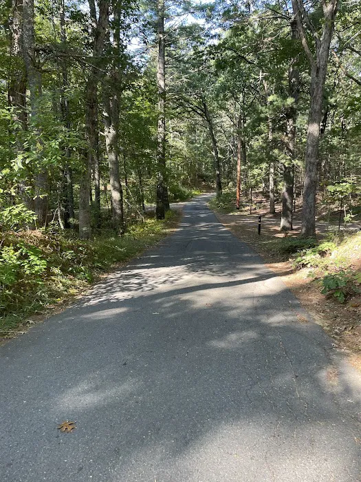 Lorraine Park Campground Picture 10