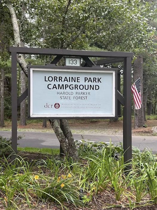 Lorraine Park Campground Picture 5