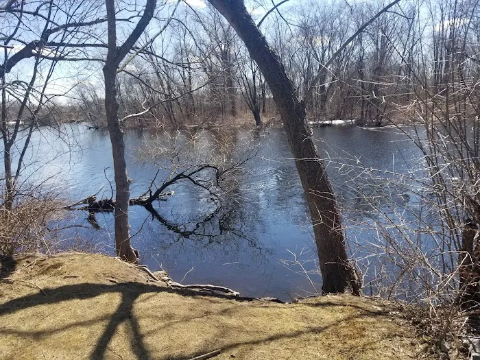 Boston Trailer Park Picture 4