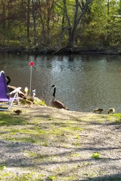 Boston Trailer Park Picture 2