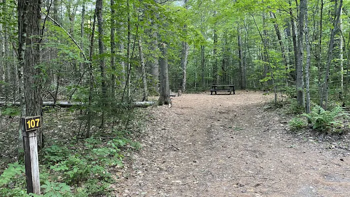 Buck Pond Campground Picture 1