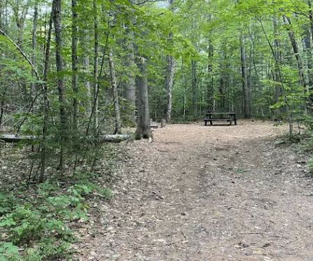 Buck Pond Campground