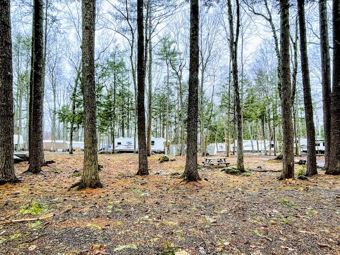 Spacious Skies Campgrounds - Walnut Grove Picture 6