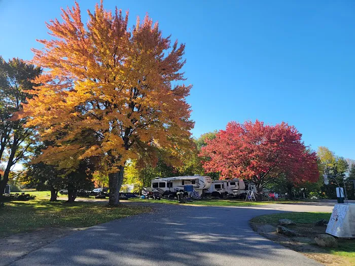 Spacious Skies Campgrounds - Walnut Grove Picture 9
