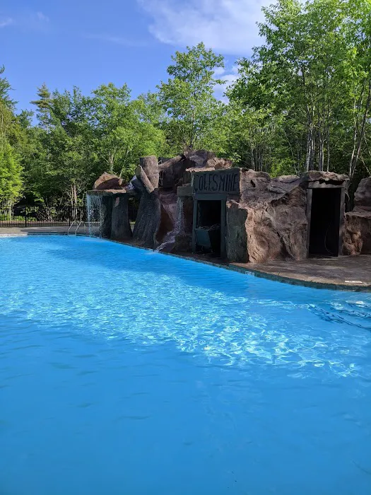 Cole's Mine RV Resort and Campground Picture 7