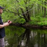 Lebanon KOA Holiday on Salmon Falls River Holiday