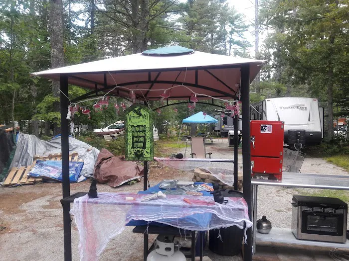 Salmon Falls River RV Resort Picture 7