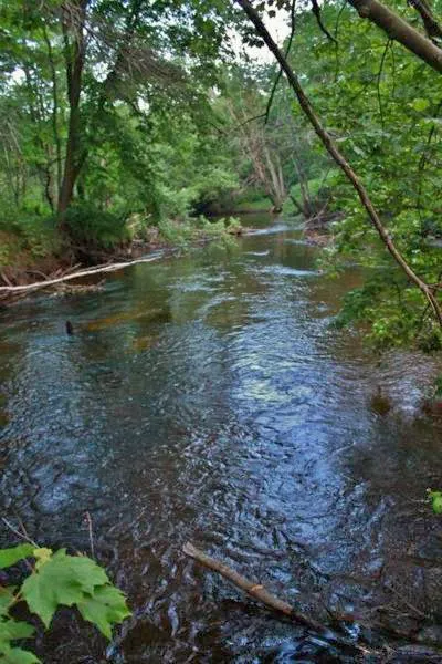 Salmon Falls River RV Resort Picture 6