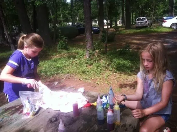 Salmon Falls River RV Resort Picture 2